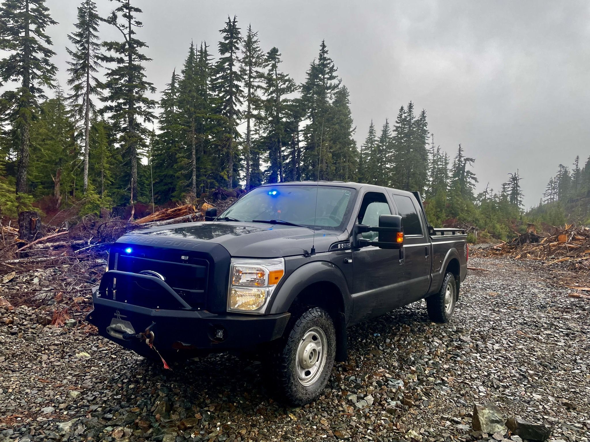 Conservation officers investigate shooting of deer in Nanaimo  : My Coast Now